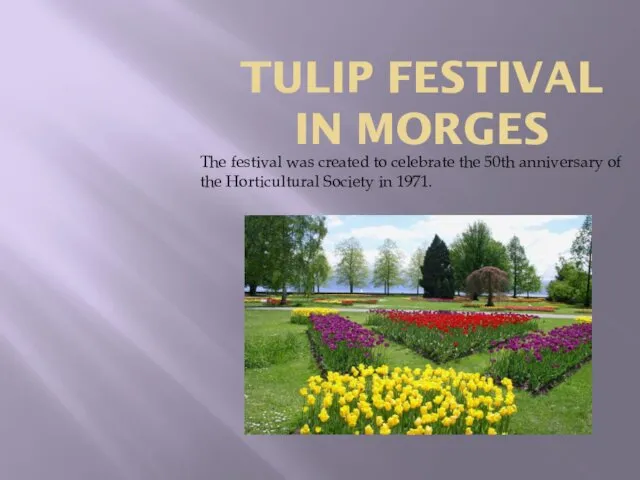 TULIP FESTIVAL IN MORGES The festival was created to celebrate