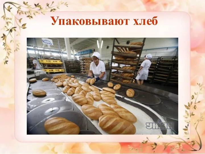 Упаковывают хлеб