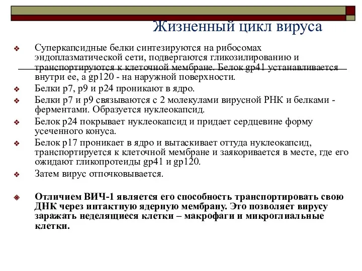 Суперкапсидные белки синтезируются на рибосомах эндоплазматической сети, подвергаются гликозилированию и