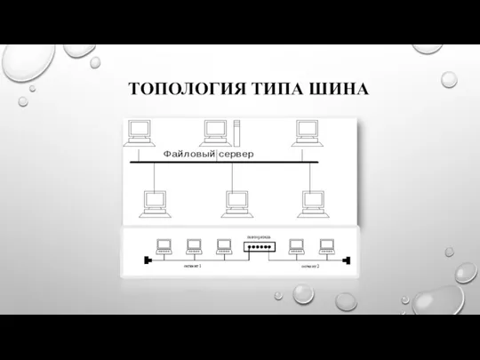 ТОПОЛОГИЯ ТИПА ШИНА