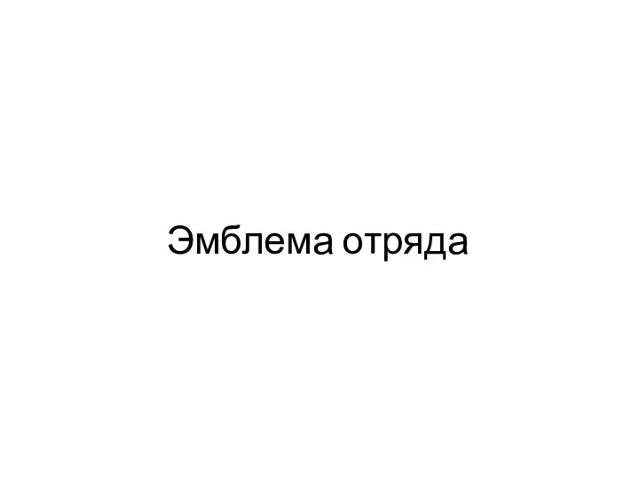 Эмблема отряда