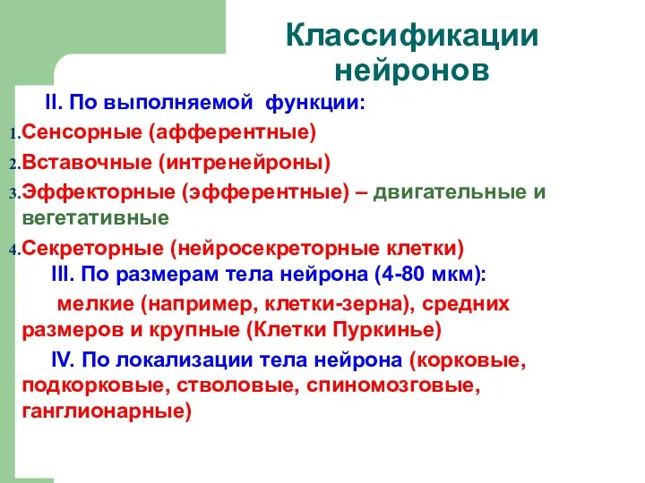 Классификации нейронов II. По выполняемой функции: Сенсорные (афферентные) Вставочные (интренейроны)