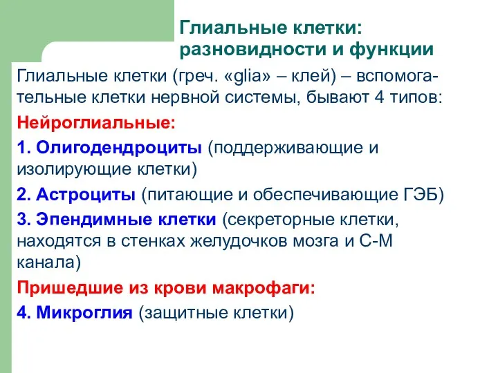 Глиальные клетки: разновидности и функции Глиальные клетки (греч. «glia» –