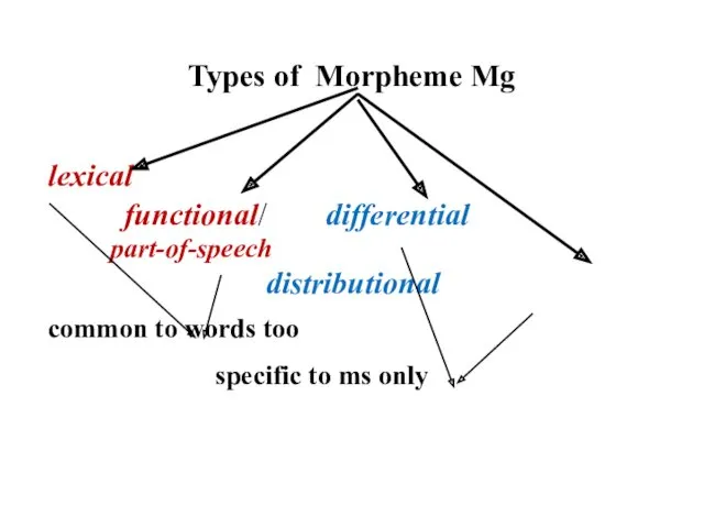 Types of Morpheme Mg lexical functional/ differential part-of-speech distributional common