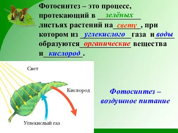 Фотосинтез – воздушное питание Фотосинтез – это процесс, протекающий в ___________ листьях растений