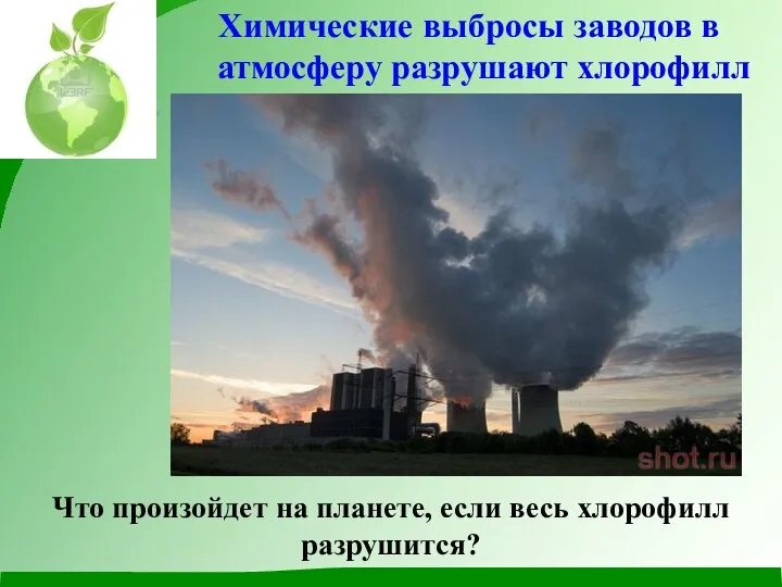 Что произойдет на планете, если весь хлорофилл разрушится? Химические выбросы заводов в атмосферу разрушают хлорофилл