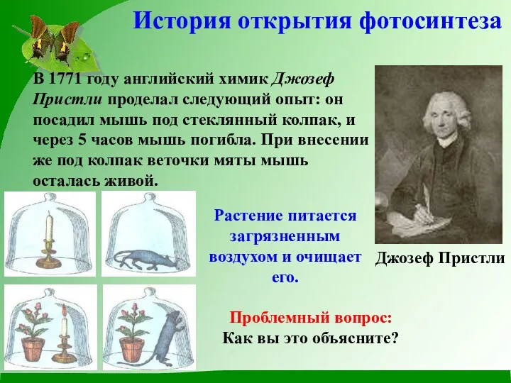 Джозеф Пристли История открытия фотосинтеза В 1771 году английский химик Джозеф Пристли проделал
