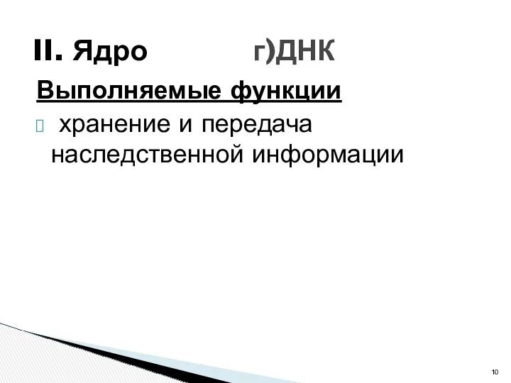 Выполняемые функции хранение и передача наследственной информации II. Ядро г)ДНК