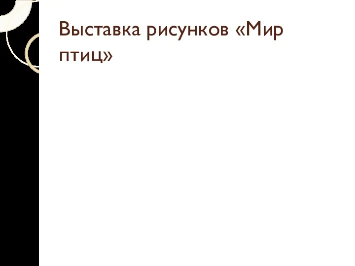 Выставка рисунков «Мир птиц»