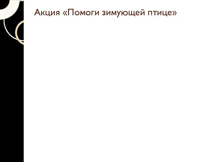 Акция «Помоги зимующей птице»