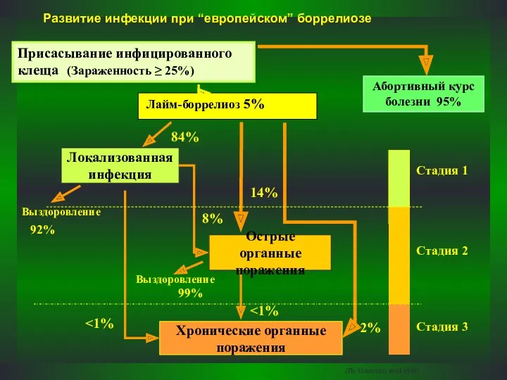 Лайм-боррелиоз 5% Локализованная инфекция Хронические органные поражения Присасывание инфицированного клеща