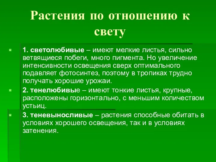 Растения по отношению к свету 1. светолюбивые – имеют мелкие