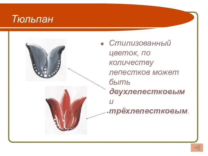 Тюльпан Стилизованный цветок, по количеству лепестков может быть двухлепестковым и трёхлепестковым.