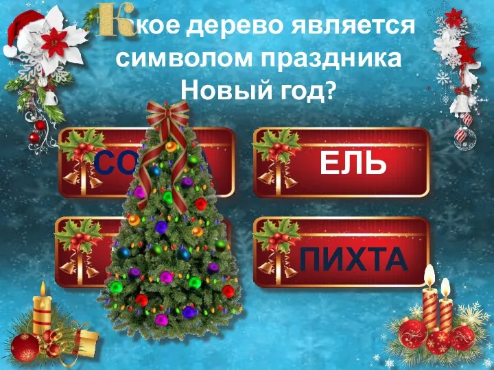 СОСНА ЕЛЬ КЕДР ПИХТА акое дерево является символом праздника Новый год?