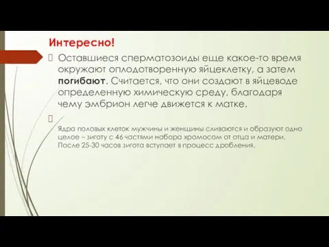 Интересно! Оставшиеся сперматозоиды еще какое-то время окружают оплодотворенную яйцеклетку, а