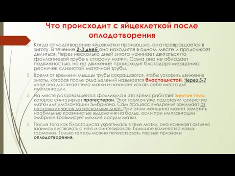 Что происходит с яйцеклеткой после оплодотворения Когда оплодотворение яйцеклетки произошло,