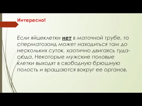 Интересно! Если яйцеклетки нет в маточной трубе, то сперматозоид может