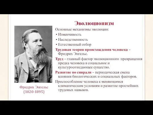 Эволюционизм Основные механизмы эволюции: Изменчивость Наследственность Естественный отбор Трудовая теория