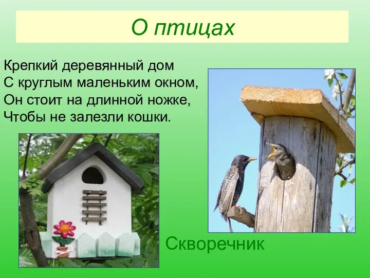 О птицах Крепкий деревянный дом С круглым маленьким окном, Он