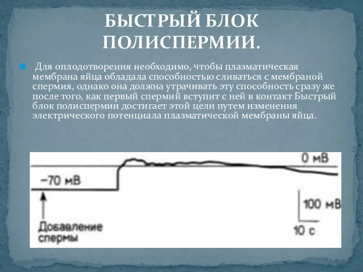 БЫСТРЫЙ БЛОК ПОЛИСПЕРМИИ. Для оплодотворения необходимо, чтобы плазматическая мембрана яйца