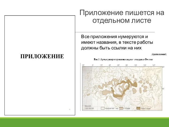 Приложение пишется на отдельном листе Все приложения нумеруются и имеют названия, в тексте