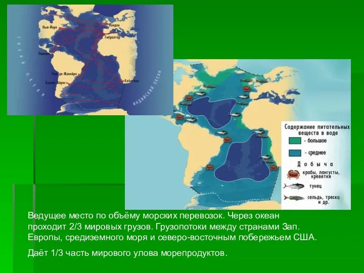 Ведущее место по объёму морских перевозок. Через океан проходит 2/3