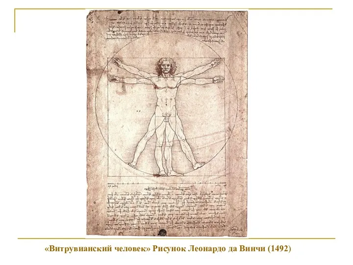 «Витрувианский человек» Рисунок Леонардо да Винчи (1492)