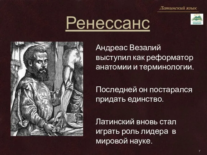 Ренессанс Андреас Везалий выступил как реформатор анатомии и терминологии. Последней