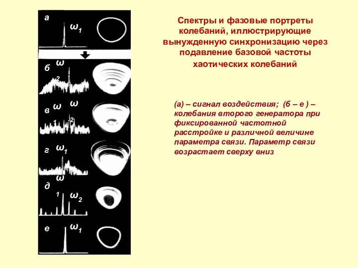 Спектры и фазовые портреты колебаний, иллюстрирующие вынужденную синхронизацию через подавление