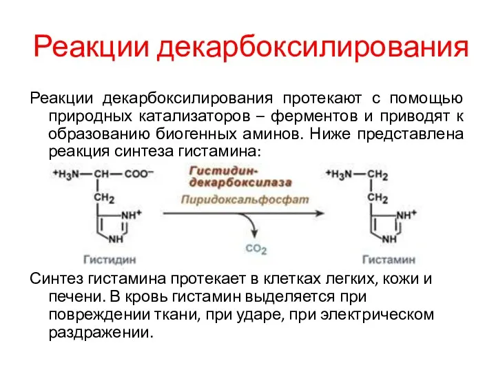 Реакции декарбоксилирования Реакции декарбоксилирования протекают с помощью природных катализаторов –