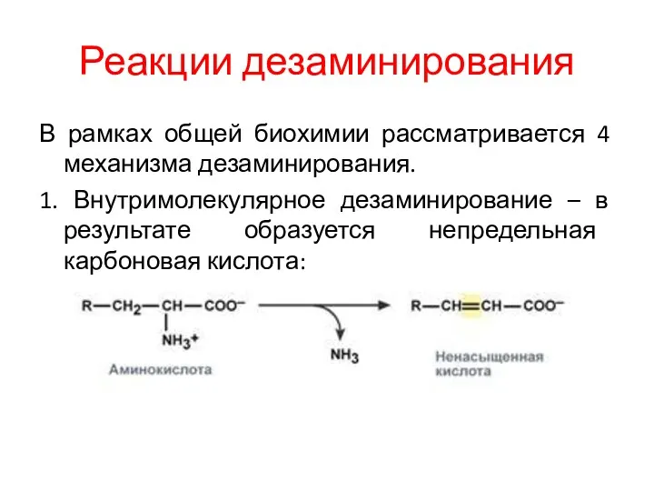 Реакции дезаминирования В рамках общей биохимии рассматривается 4 механизма дезаминирования.