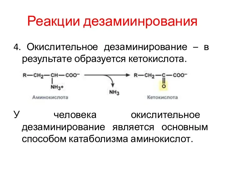 Реакции дезамиинрования 4. Окислительное дезаминирование – в результате образуется кетокислота.