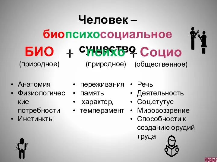 Человек – биопсихосоциальное существо БИО (природное) Социо (общественное) Анатомия Физиологические