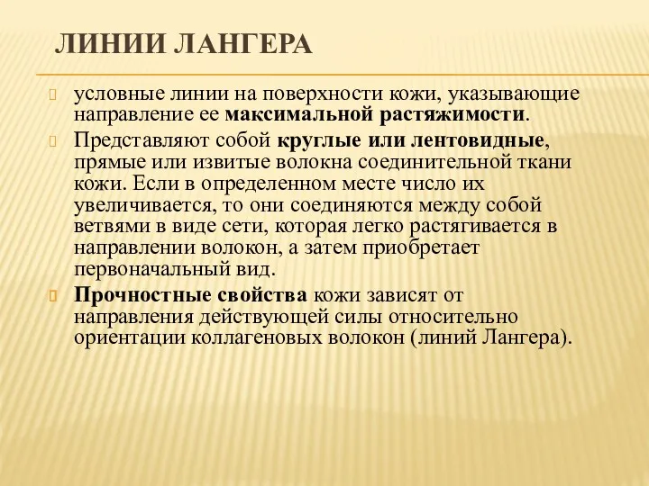 ЛИНИИ ЛАНГЕРА условные линии на поверхности кожи, указывающие направление ее