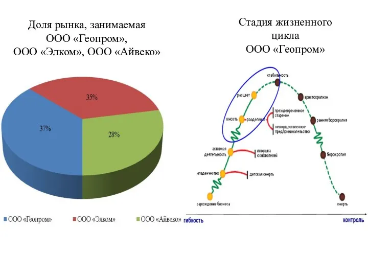 Доля рынка, занимаемая ООО «Геопром», ООО «Элком», ООО «Айвеко» Стадия жизненного цикла ООО «Геопром»