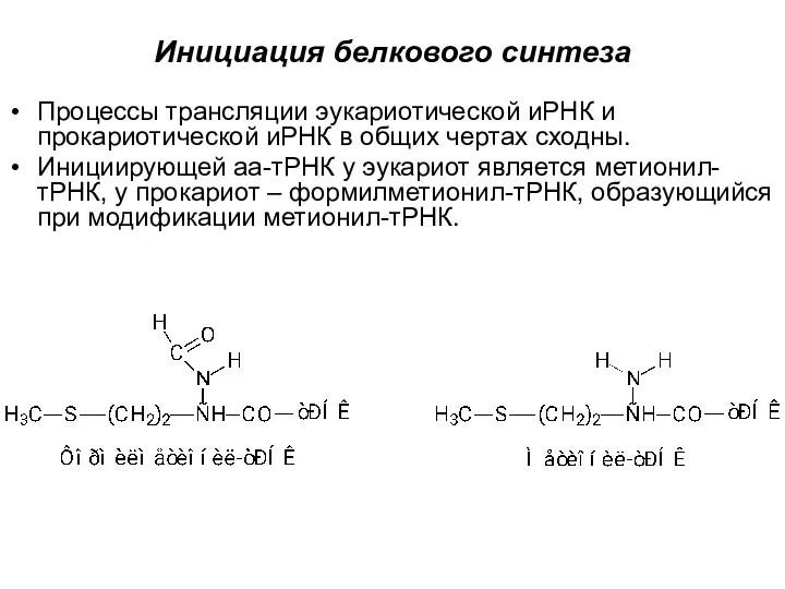 Инициация белкового синтеза Процессы трансляции эукариотической иРНК и прокариотической иРНК