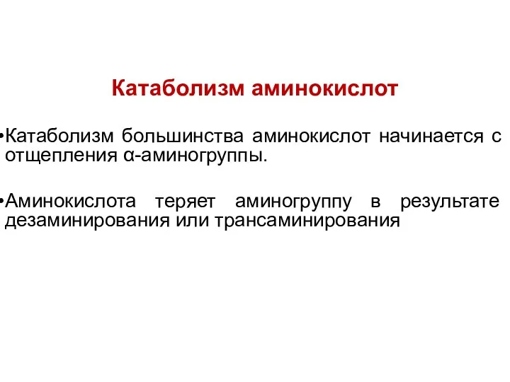 Катаболизм аминокислот Катаболизм большинства аминокислот начинается с отщепления α-аминогруппы. Аминокислота