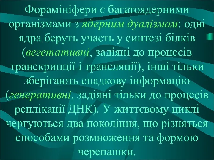 Форамініфери є багатоядерними організмами з ядерним дуалізмом: одні ядра беруть