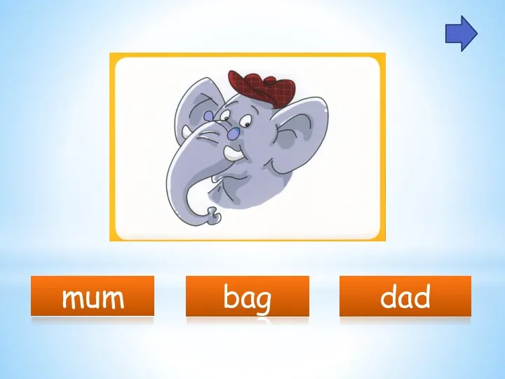 mum dad bag