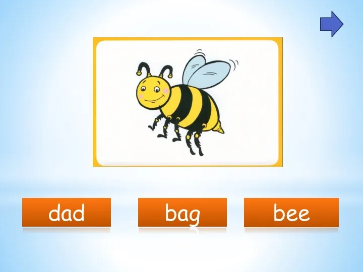 dad bee bag