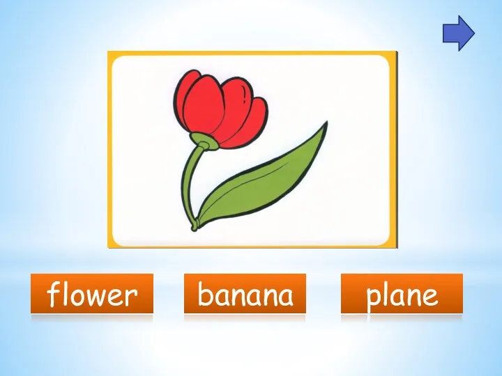 flower banana plane