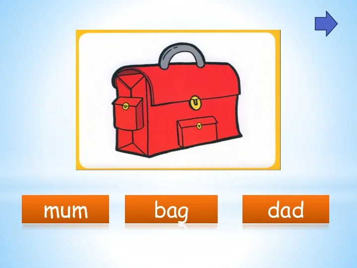 mum bag dad