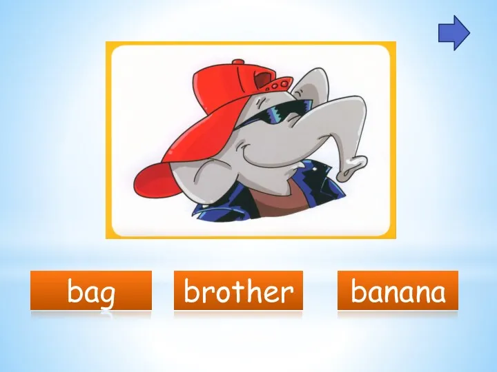 bag brother banana