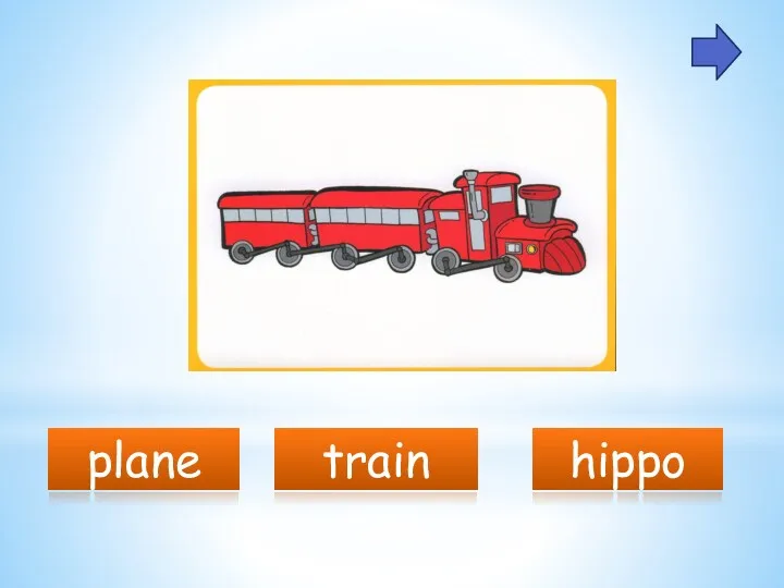 plane train hippo