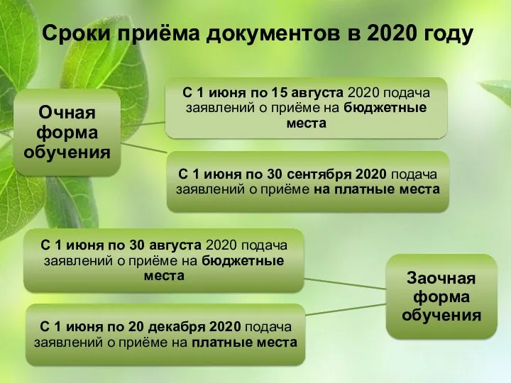 Сроки приёма документов в 2020 году