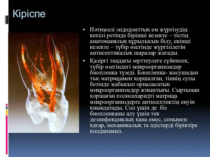 Кіріспе Нәтижелі эндодонттық ем жүргізудің кепілі ретінде бірінші кезекте –