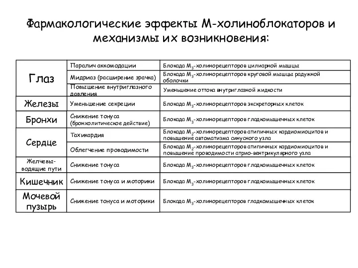 Фармакологические эффекты М-холиноблокаторов и механизмы их возникновения: Глаз Паралич аккомодации