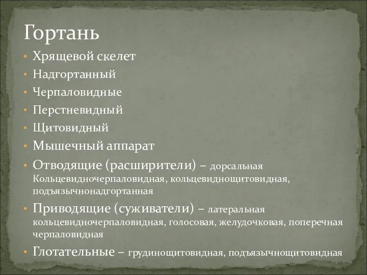 Хрящевой скелет Надгортанный Черпаловидные Перстневидный Щитовидный Мышечный аппарат Отводящие (расширители)