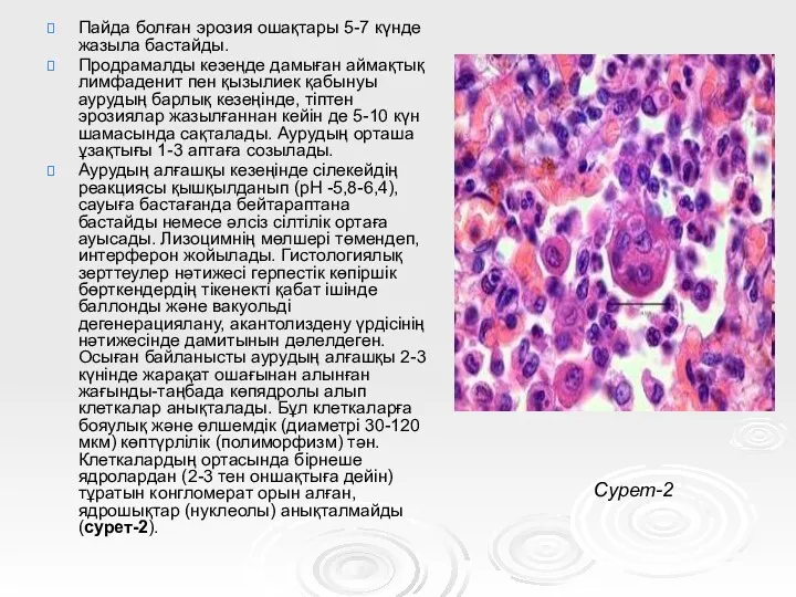 Пайда болған эрозия ошақтары 5-7 күнде жазыла бастайды. Продрамалды кезеңде