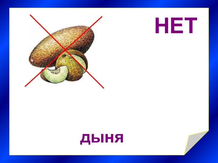 НЕТ дыня